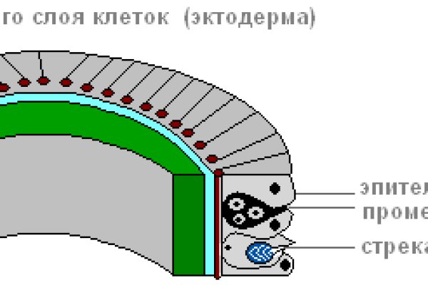 Блэк спрут blacksprul me