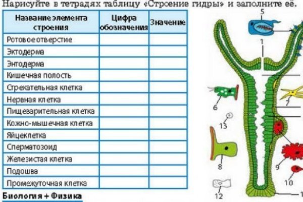 Блэкспрут расширьте свои горизонты